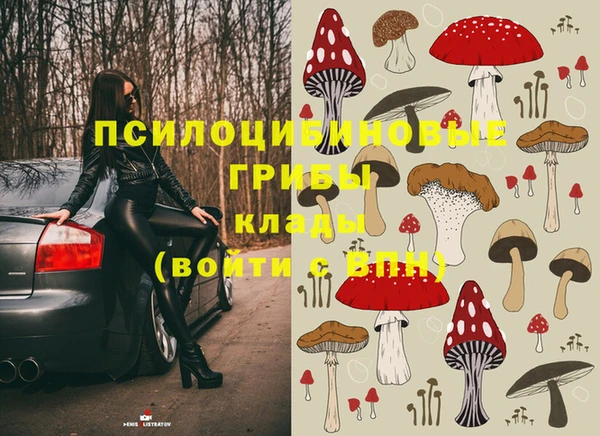 меф Ладушкин